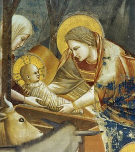 giotto-nativite-fresque-de-la-chapelle-scavogni-padoue