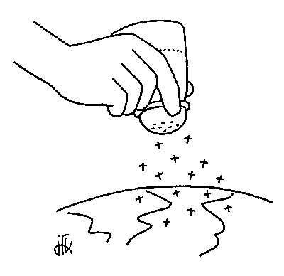sel de la terre sel de la terre