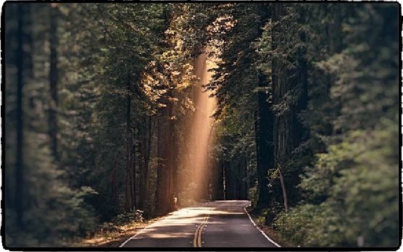 Chemin et lumière Chemin et lumière